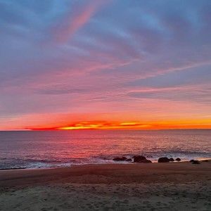 Meet your Posher, Emilie